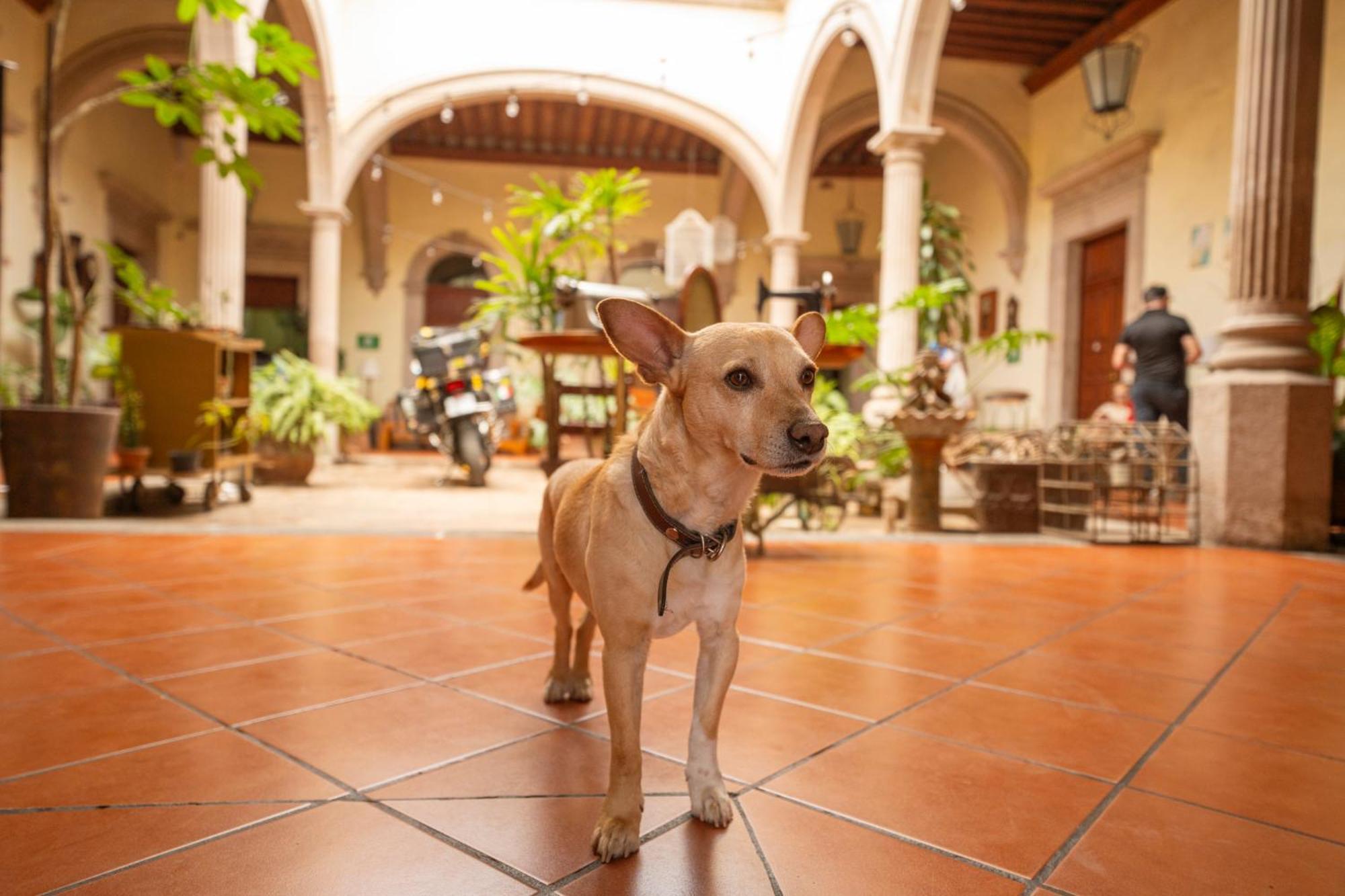 Hotel Posada San Agustin Durango Exterior photo